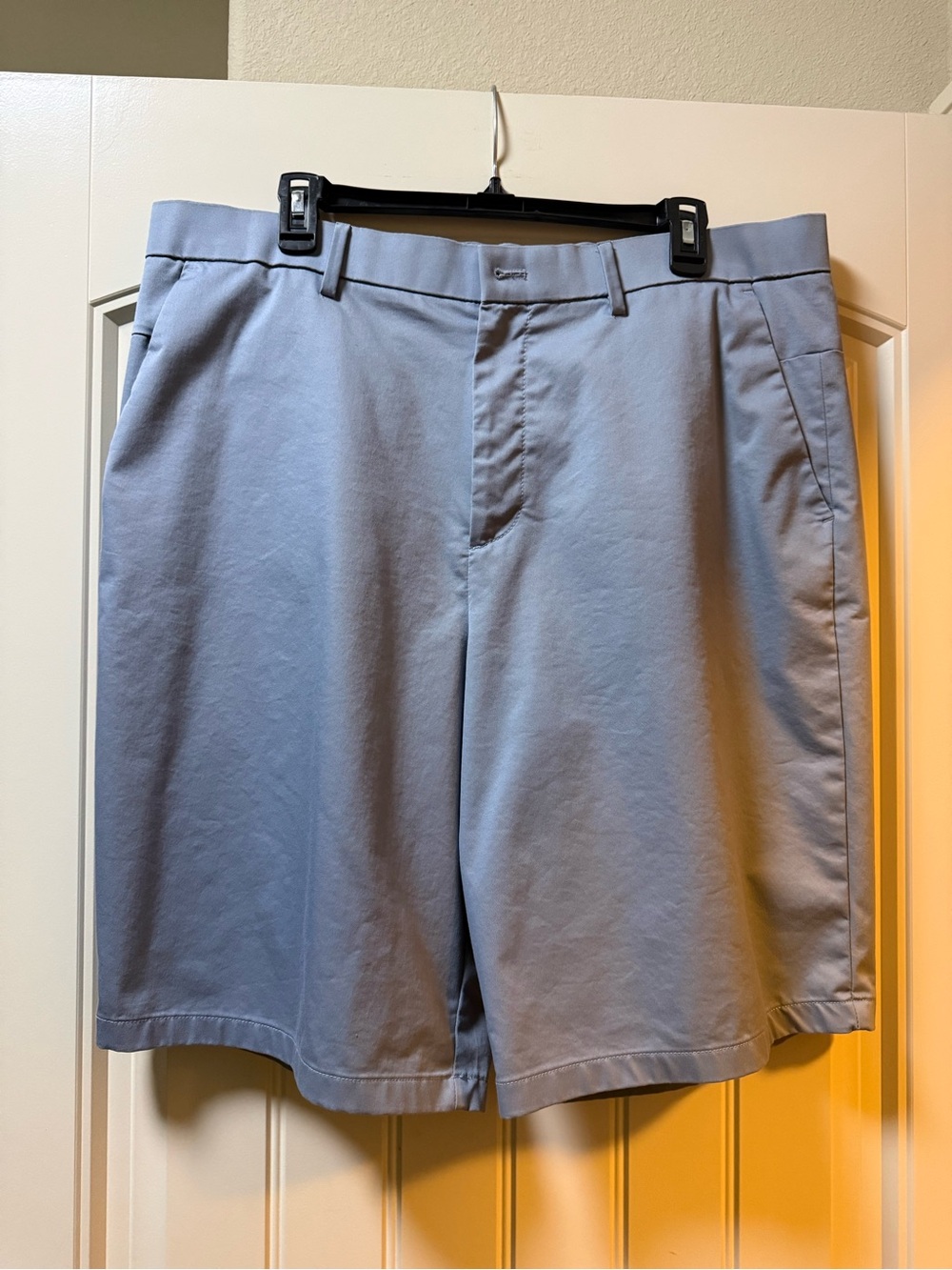 Banana Republic Light Blue Men's Flat-Front Shorts